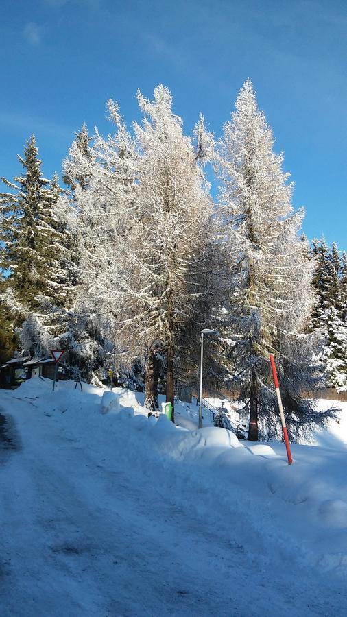 Ferienwohnung Im Haus Edelweiss เทรฟเฟน ภายนอก รูปภาพ